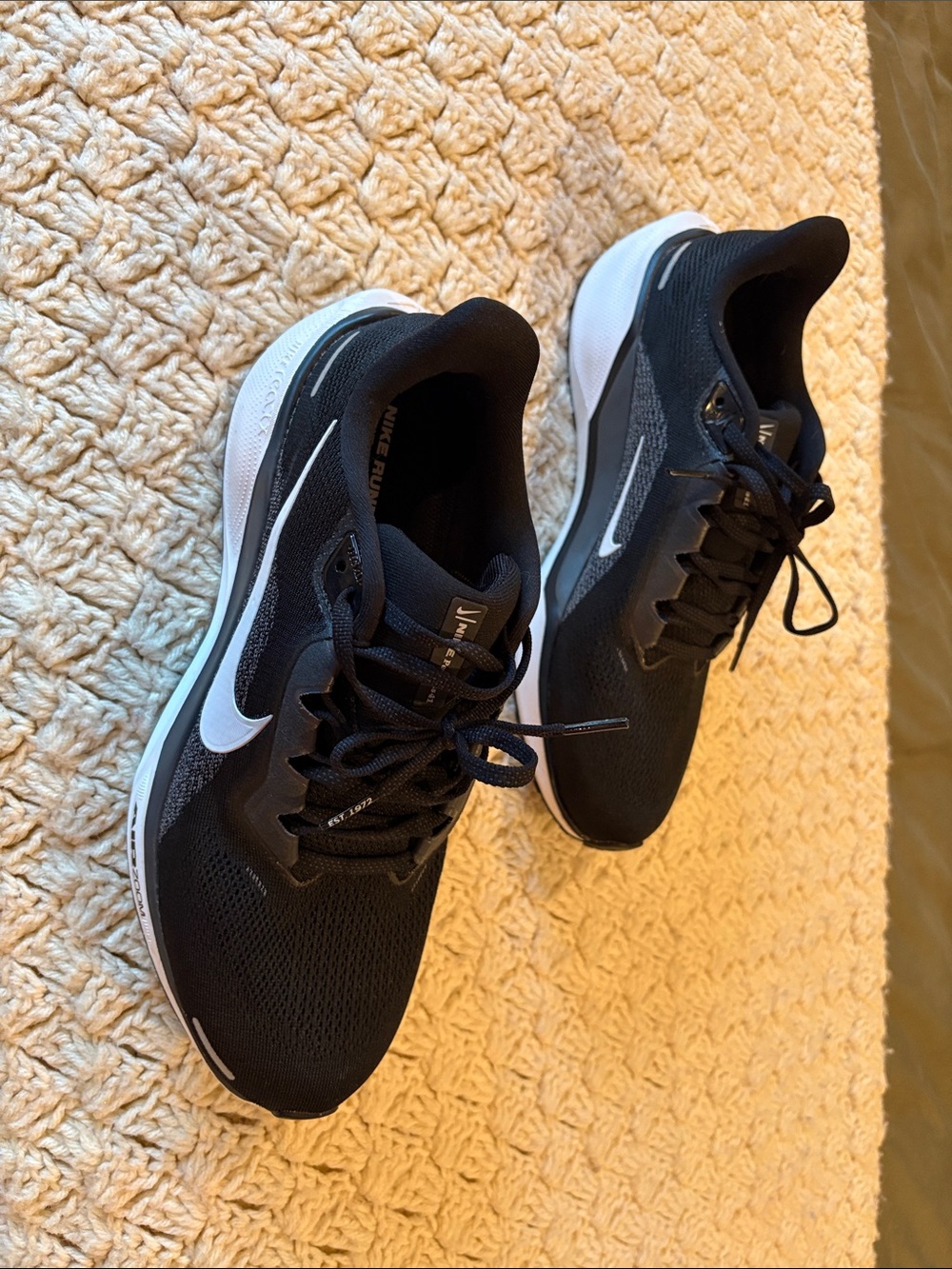 Nike air Zoom Pegasus